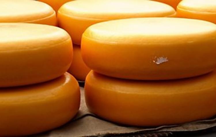 Semi-hard cheese